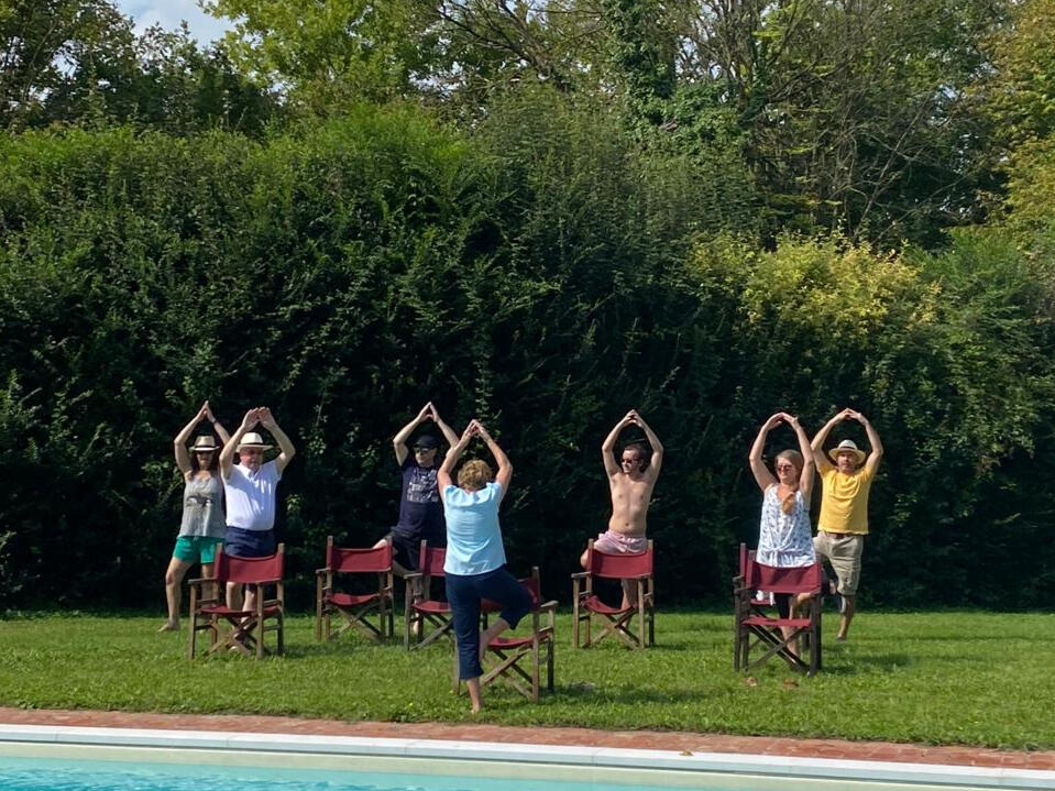 Viverra orci dapibus